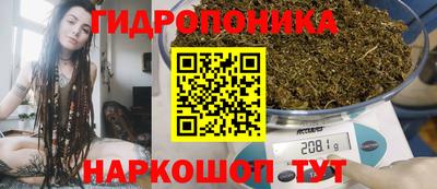 ALPHA-PVP Кандалакша