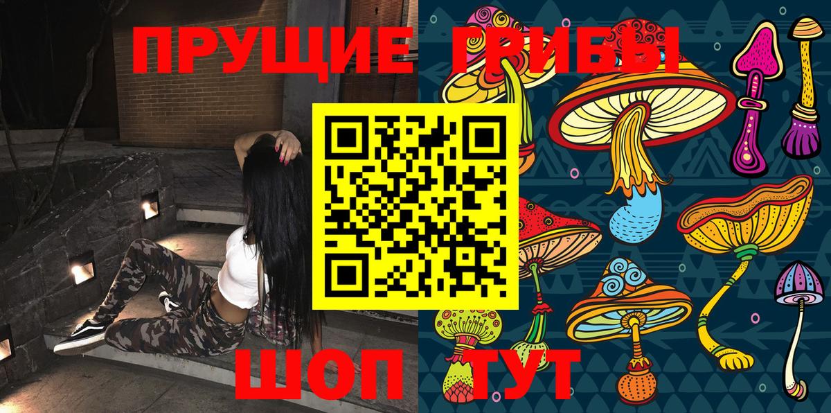 Галлюциногенные грибы Cubensis Красный Сулин