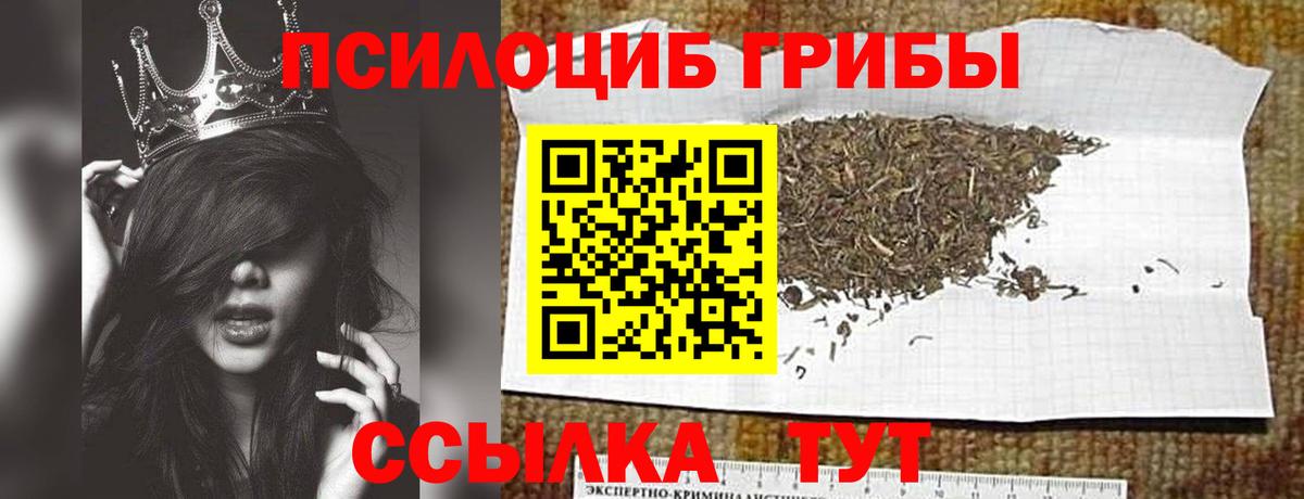 Красный Сулин  как найти закладки  Вход с VPN  Галлюциногенные грибы Psilocybine cubensis 